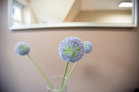 /album/fotogalerie-uvod1/hq9a5046-jpg1/